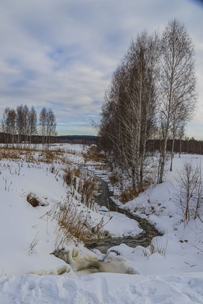 Фотография автора Каргин Валерий