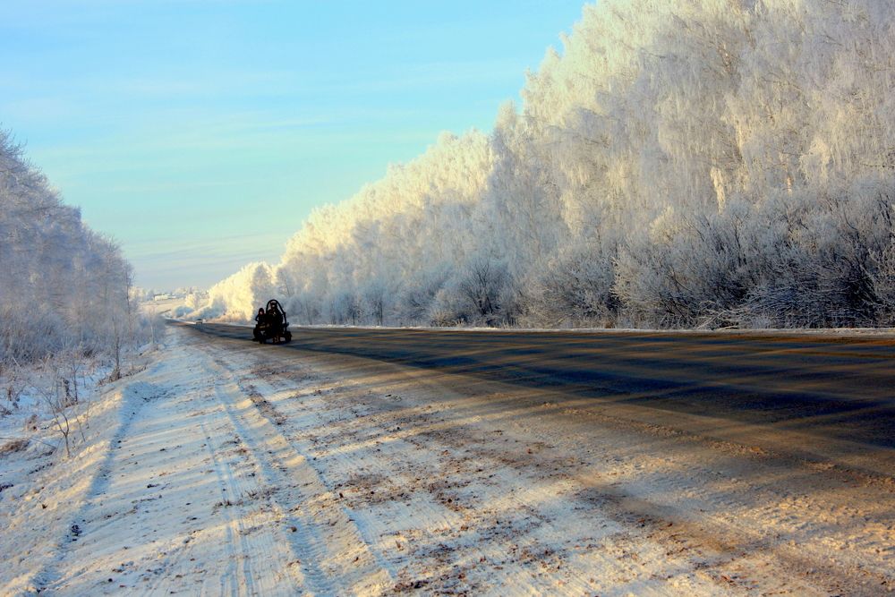 Фотография автора Nelya  Lysenko
