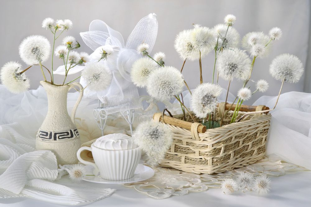 Photograph by Шруб (Беляева) Татьяна