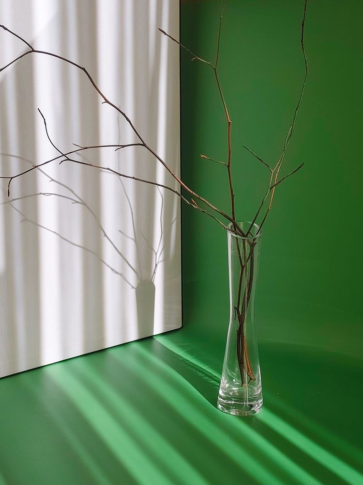 Photograph by Наталия Дроздова