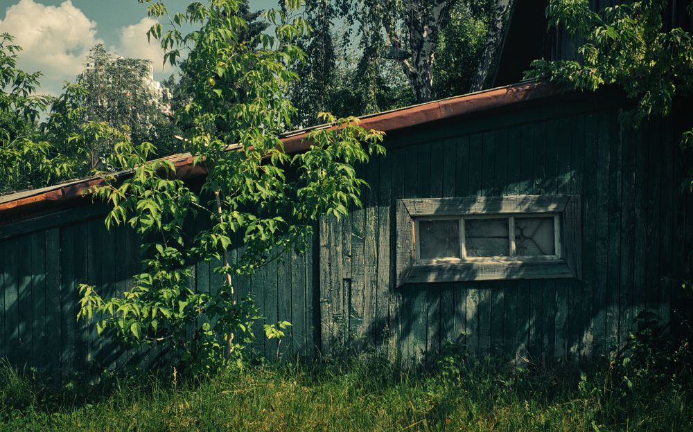 Photograph by Grebnev (DicDoc) Dmitriy