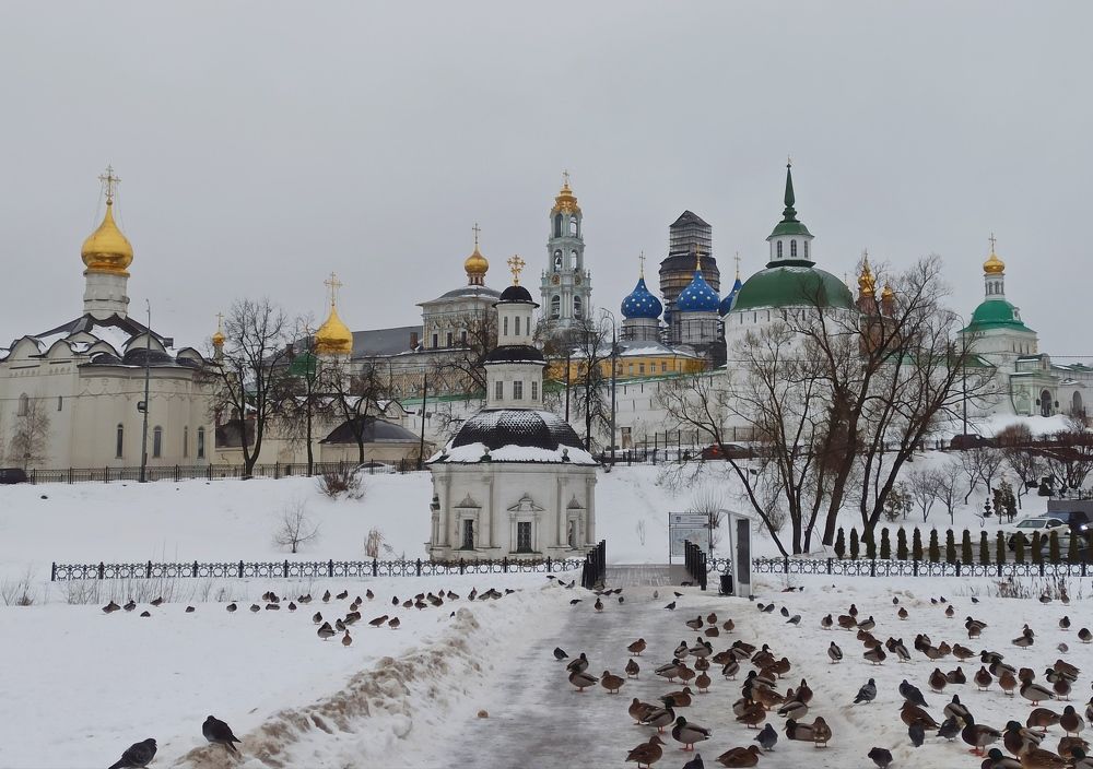 Photograph by Elena Novikova