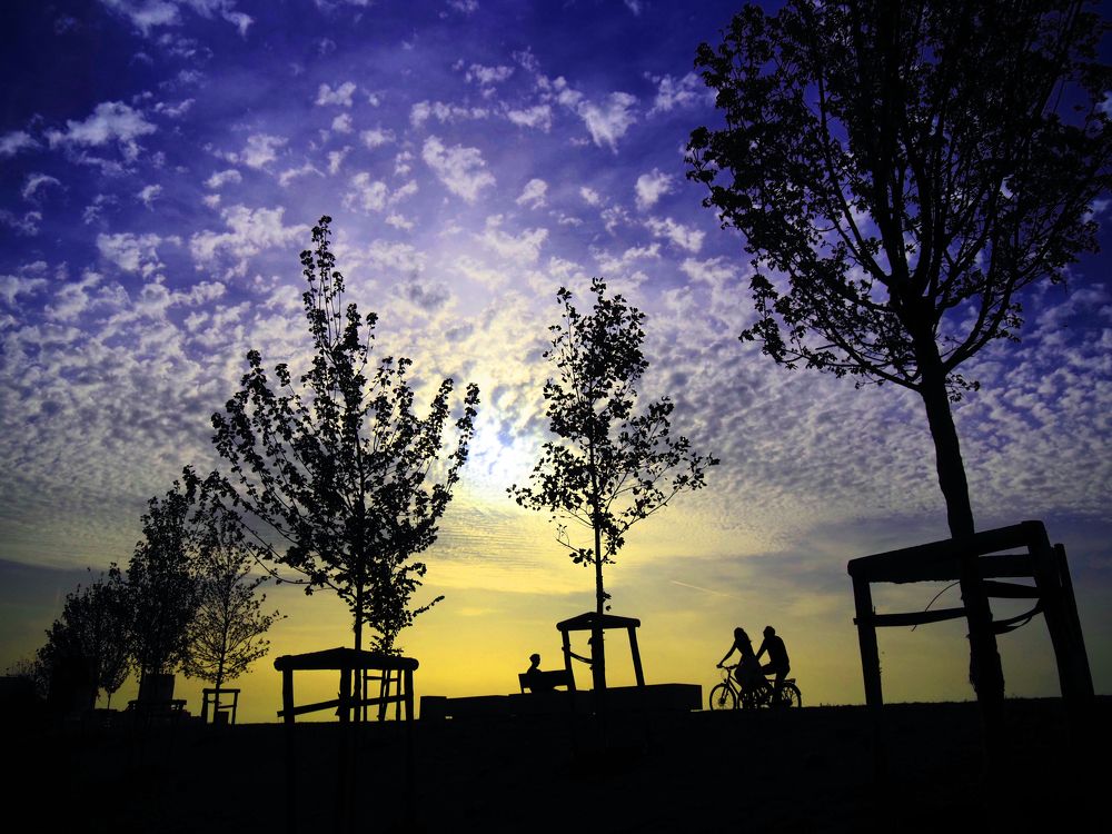 Фотография автора Marija Krumes