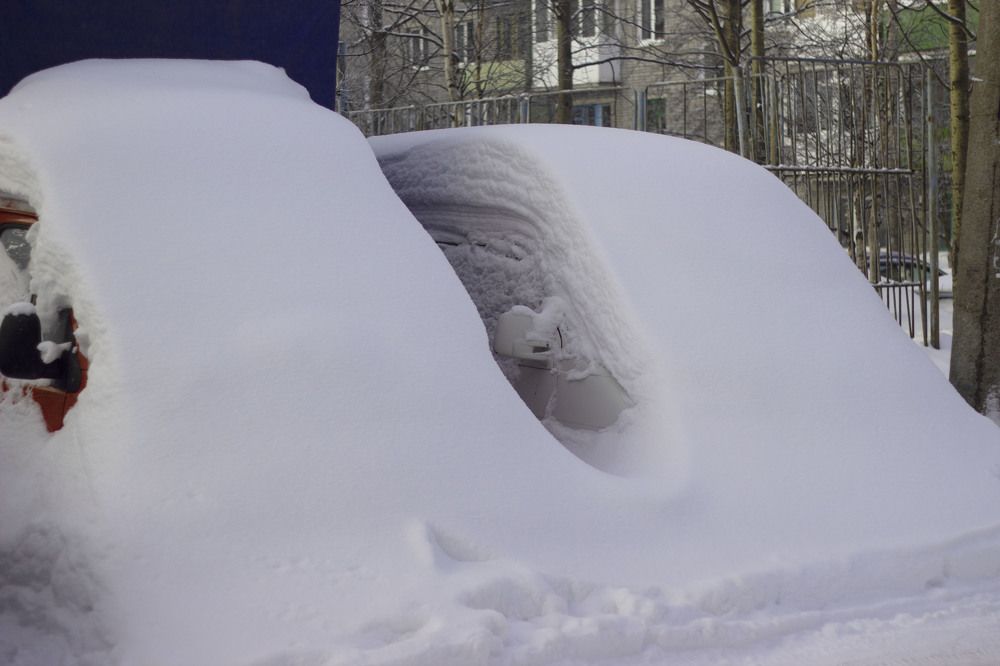 Photograph by Светлана Зотова