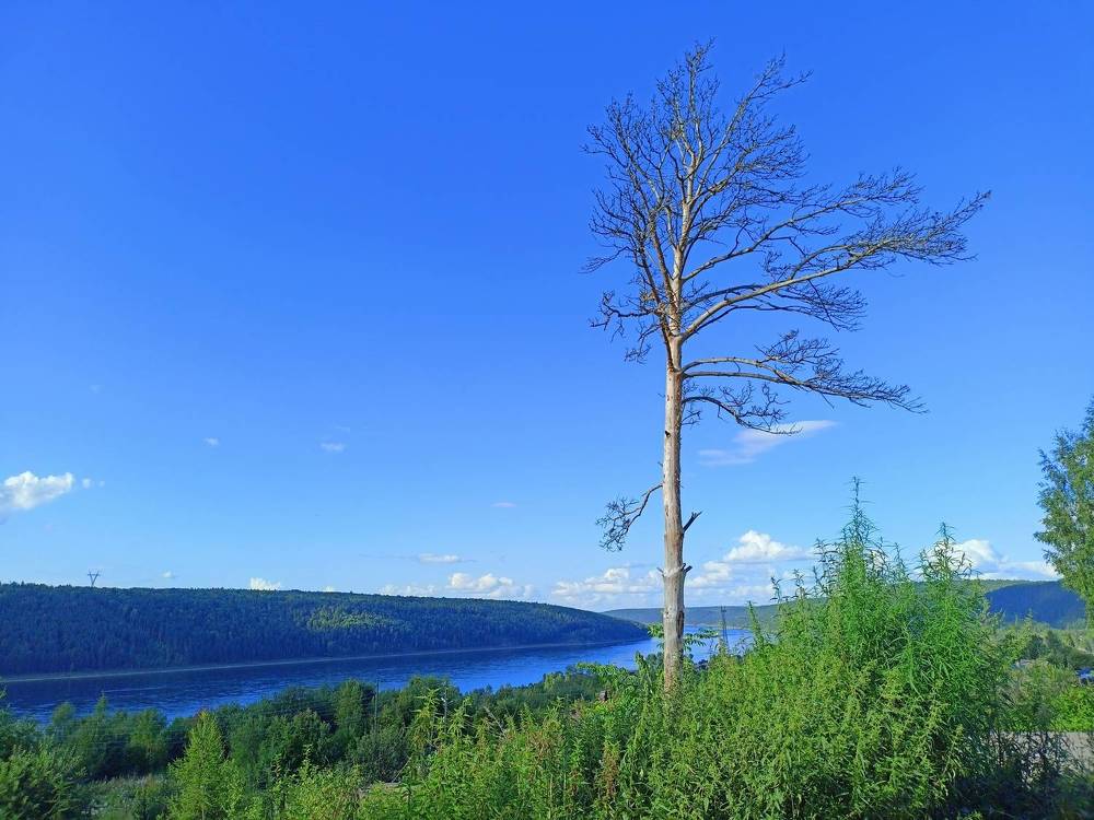 Photograph by Анастасия Горбачева