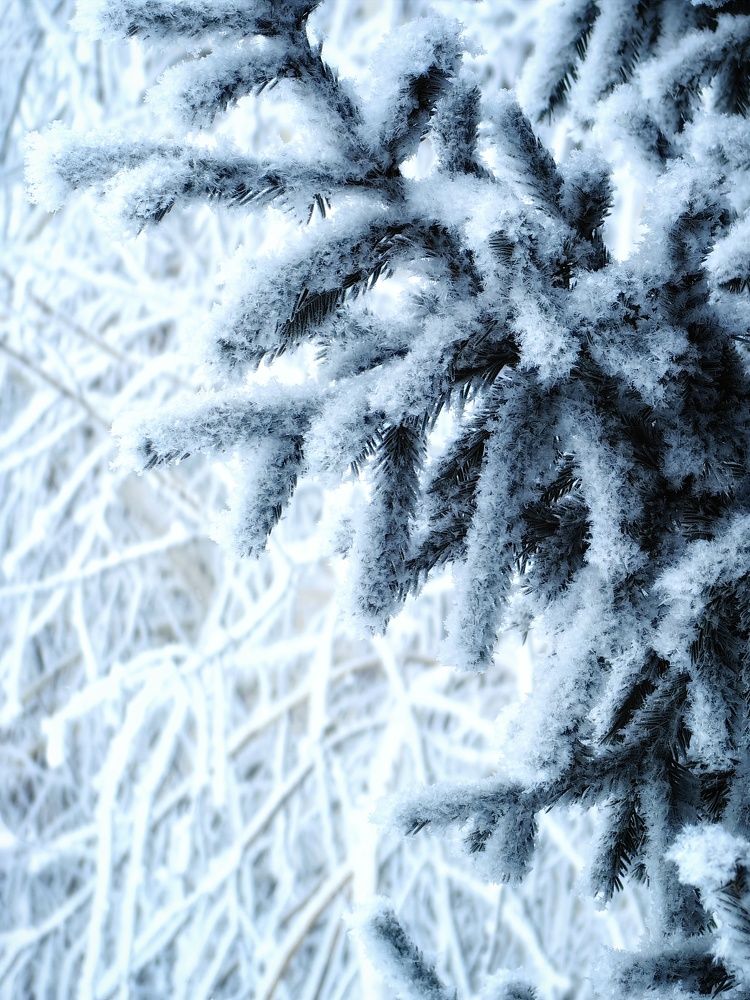 Photograph by Сергей Зайцев