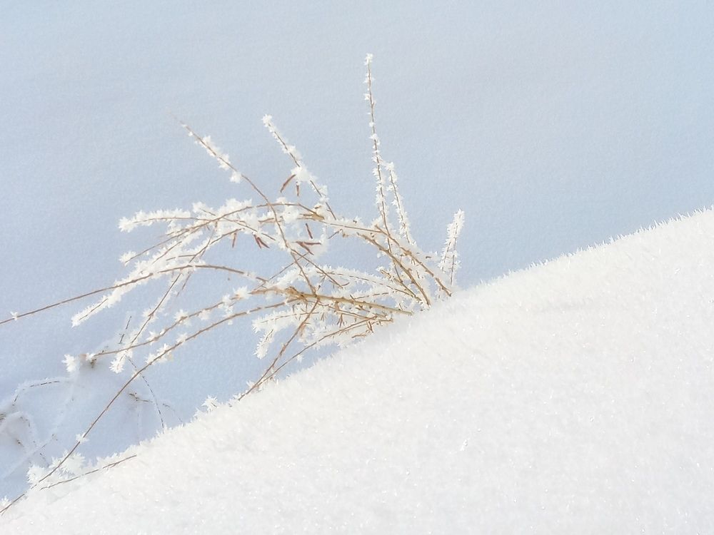 Photograph by OLGA MIKHNEVICH