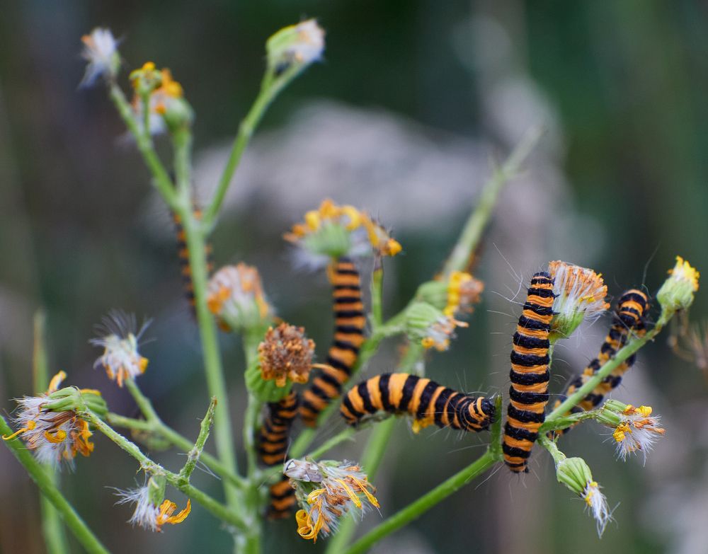 Фотография автора Ekaterina Palant