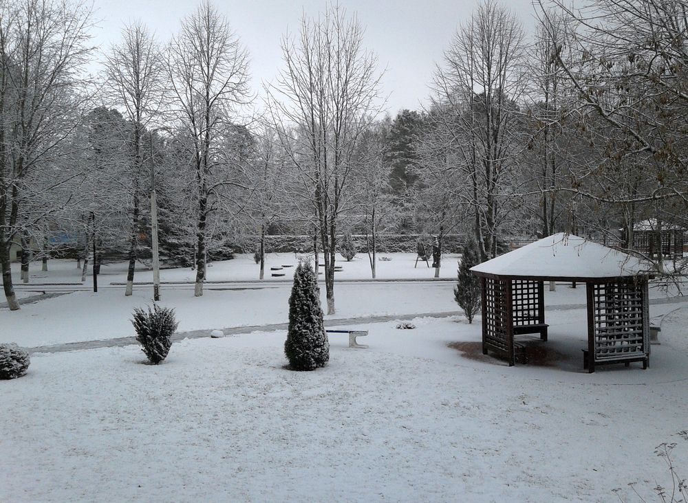 Зима черно-белый художник / Winter is a black&white painter