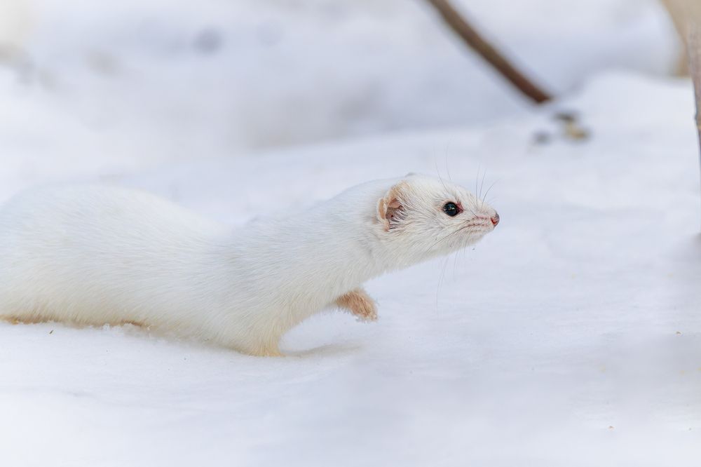 Photograph by Антон Науменко