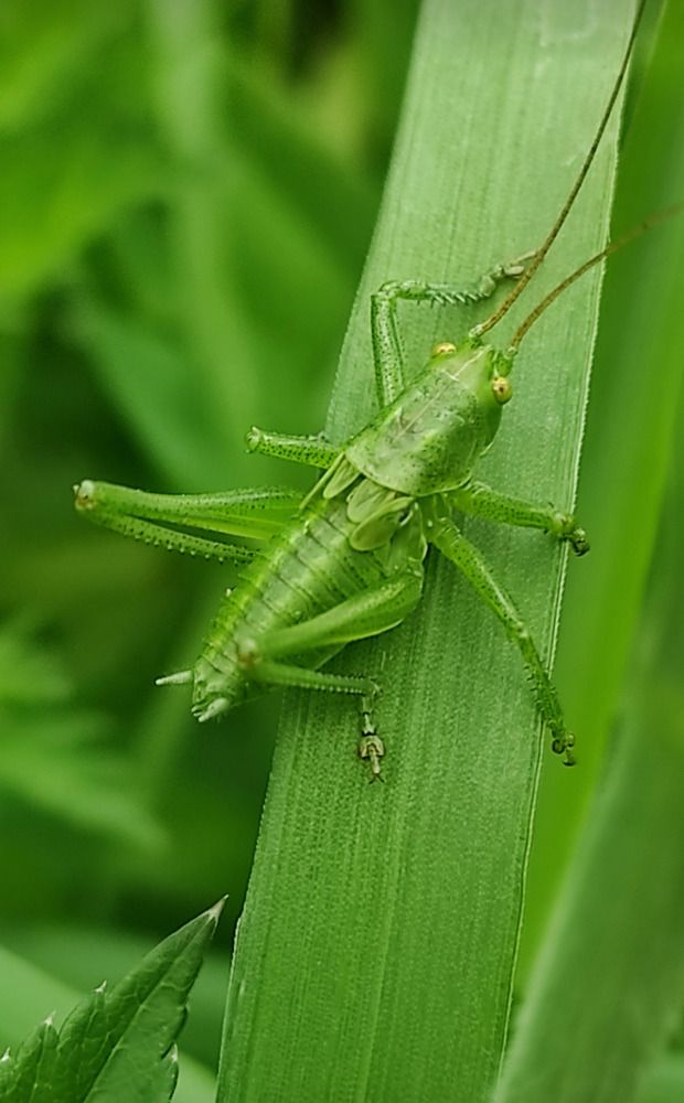 Фотография автора Марина Алексеевская