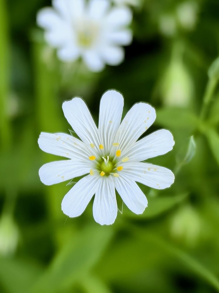 Photograph by Сергей Игнатьев