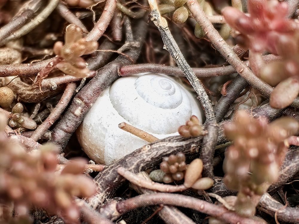 Photograph by Сергей Игнатьев