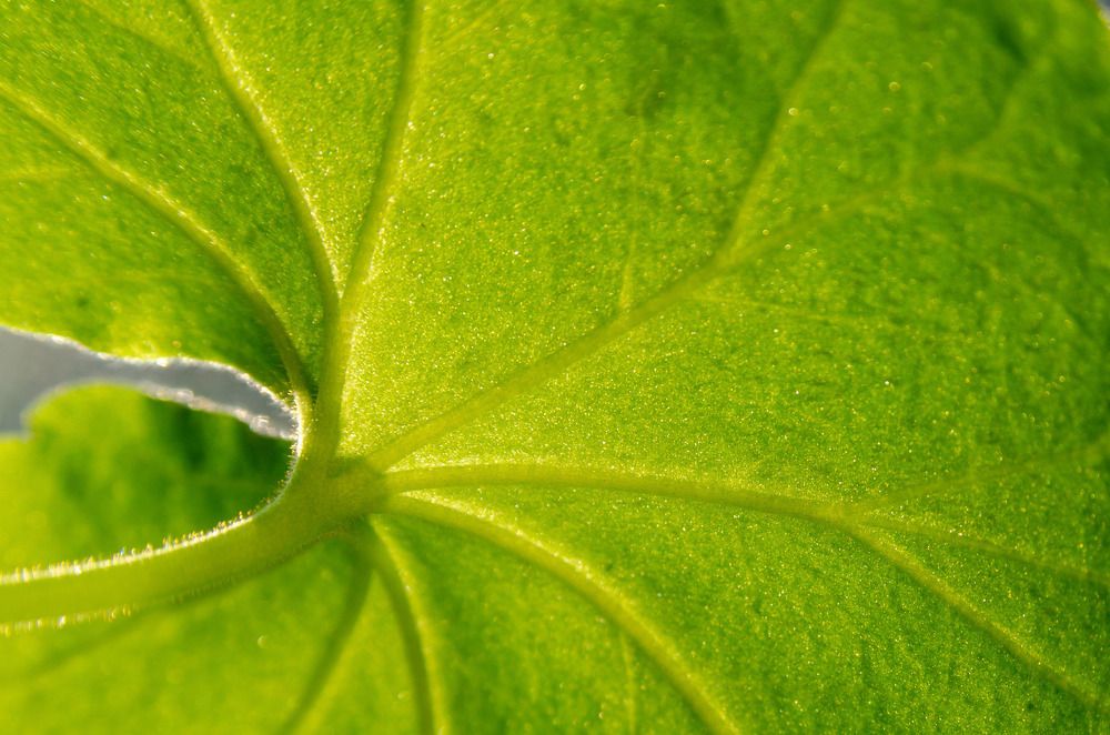 Photograph by Павел Юнусов