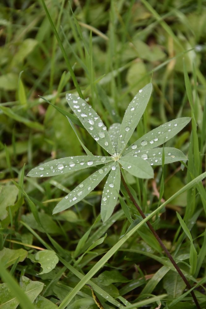 Photograph by Юлия Ю.