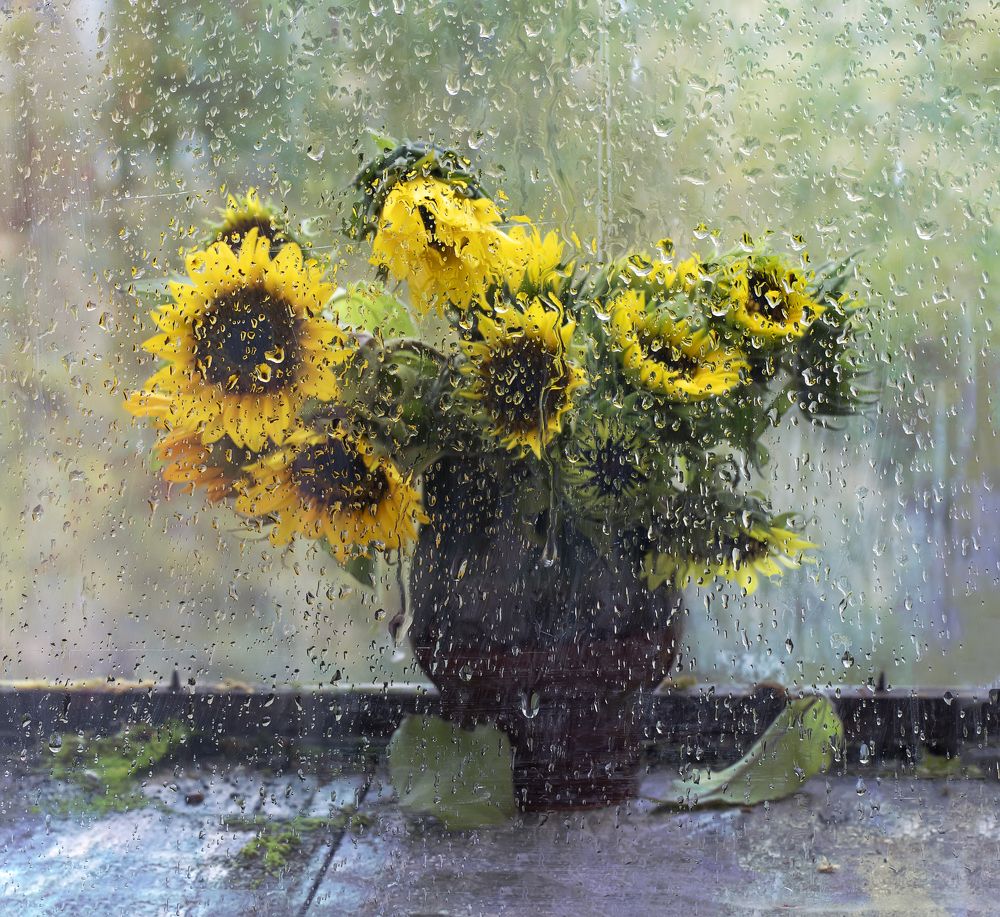 Photograph by Татьяна Феденкова