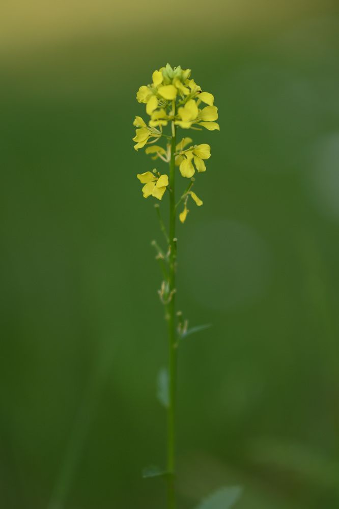 Photograph by Павел Юнусов