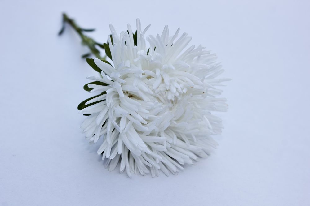 Photograph by Лариса Белашова