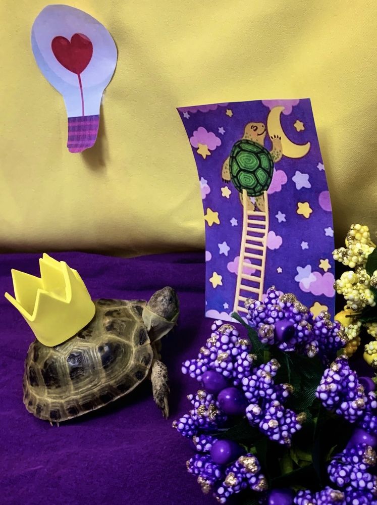 Влюбленная черепаха