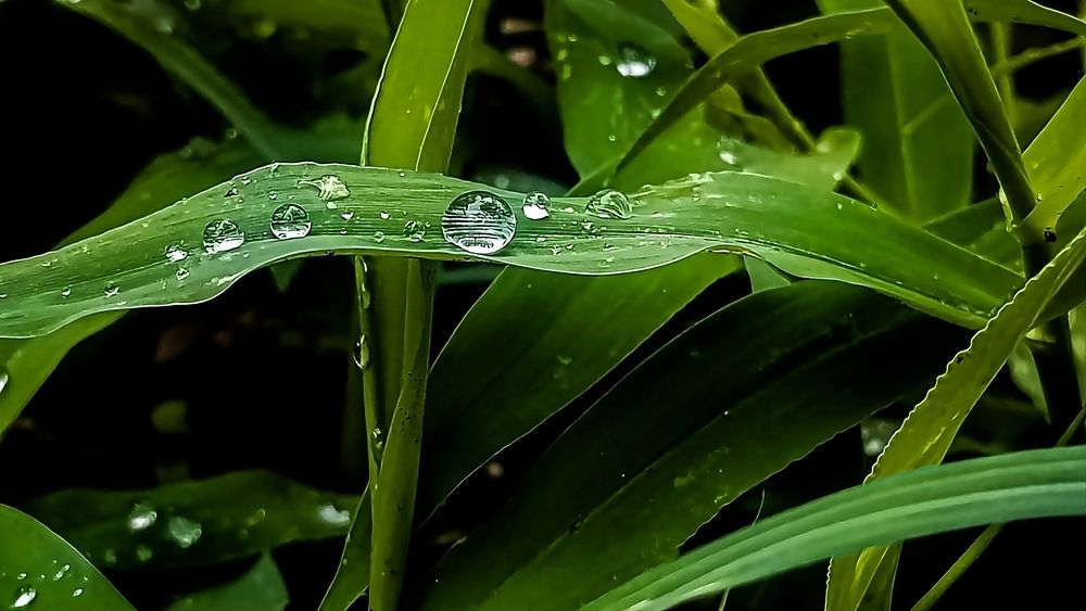 Photograph by Ambewadikar sourabh