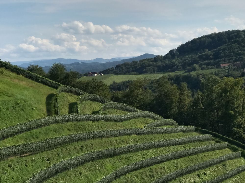 Фотография автора Наталия