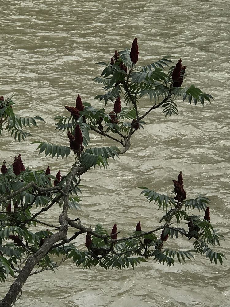 Фотография автора Наталия