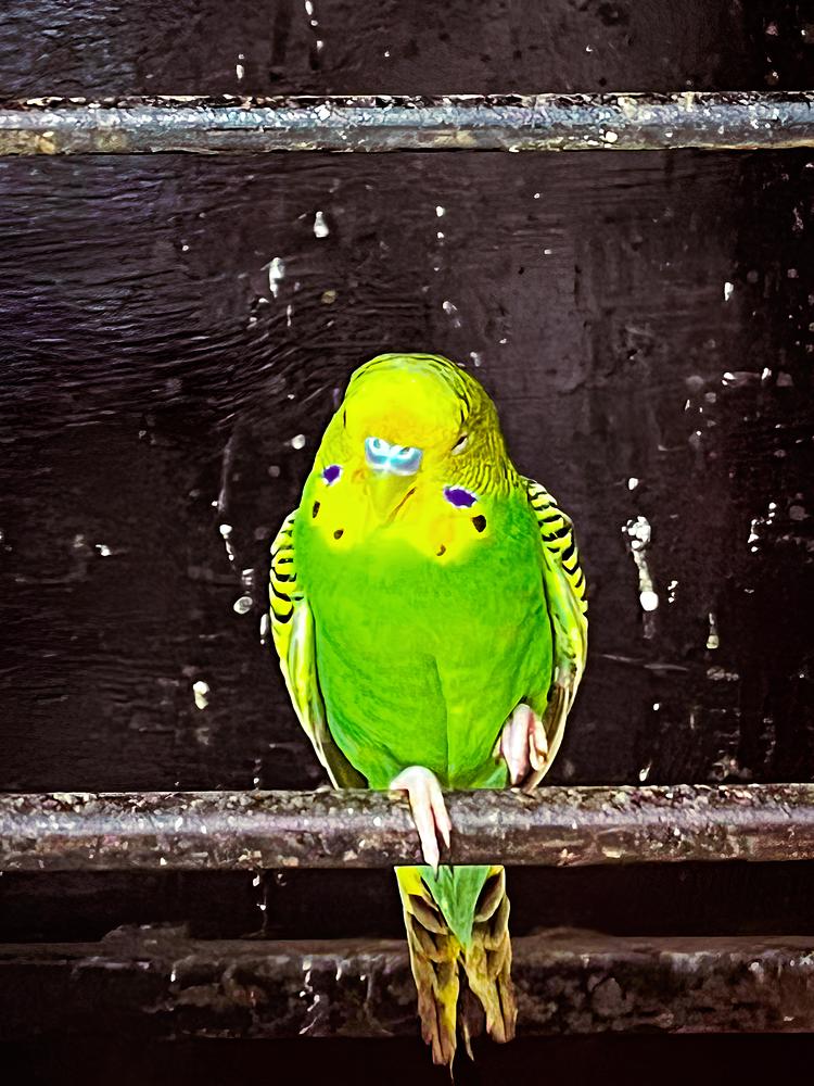 Photograph by Ambewadikar sourabh