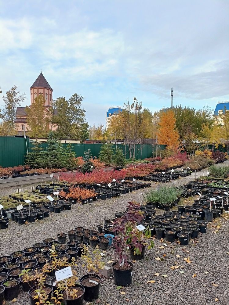 Photograph by Анастасия Горбачева