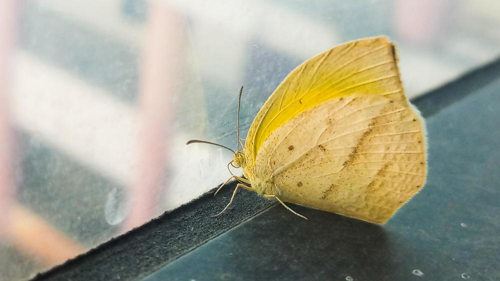 Photograph by Ambewadikar sourabh