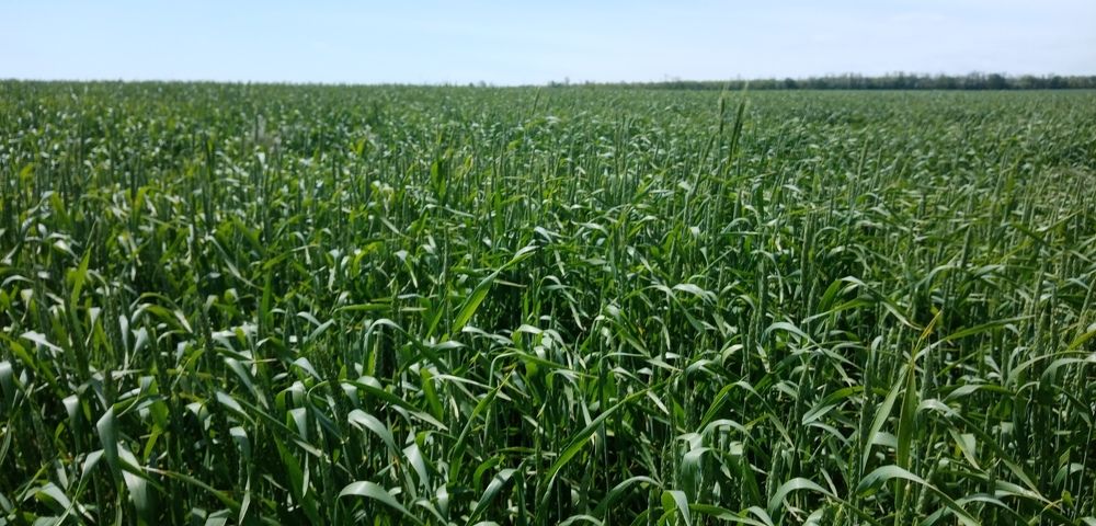 Photograph by Виктор Захаров