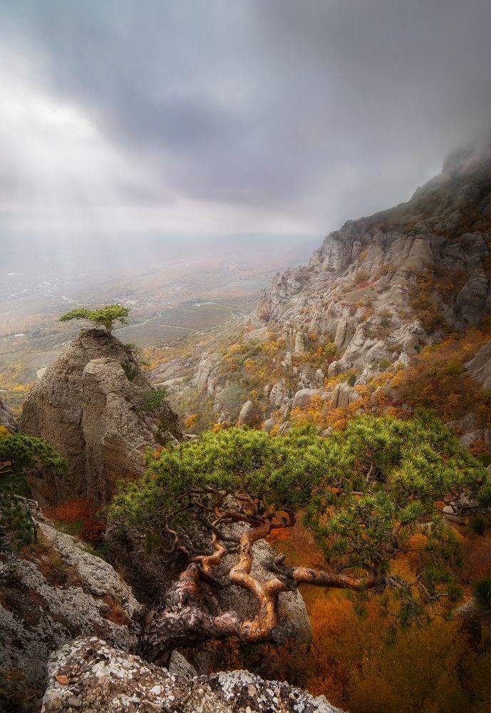 Photograph by Макс Яковенко