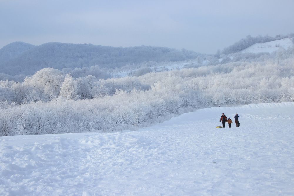 Фотография автора Татьяна Сергиенко