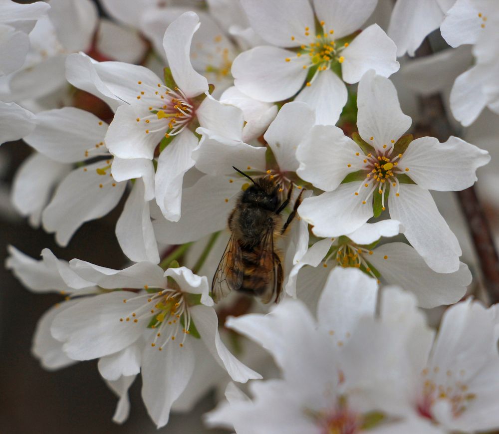 Фотография автора Татьяна Сергиенко