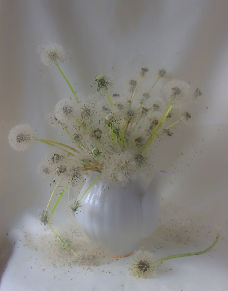 Фотография автора Татьяна Сергиенко