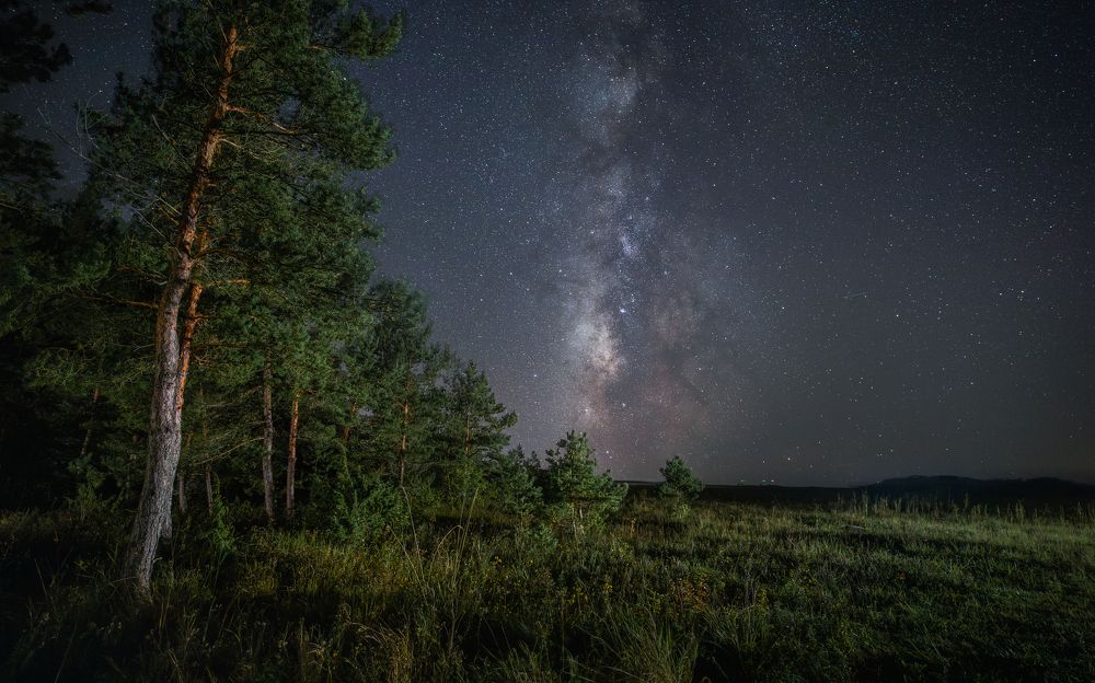 Photograph by Thomas Balagula