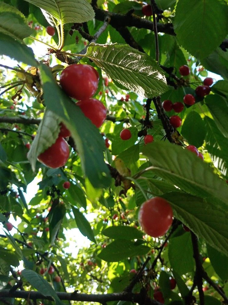 Photograph by Виктор Захаров