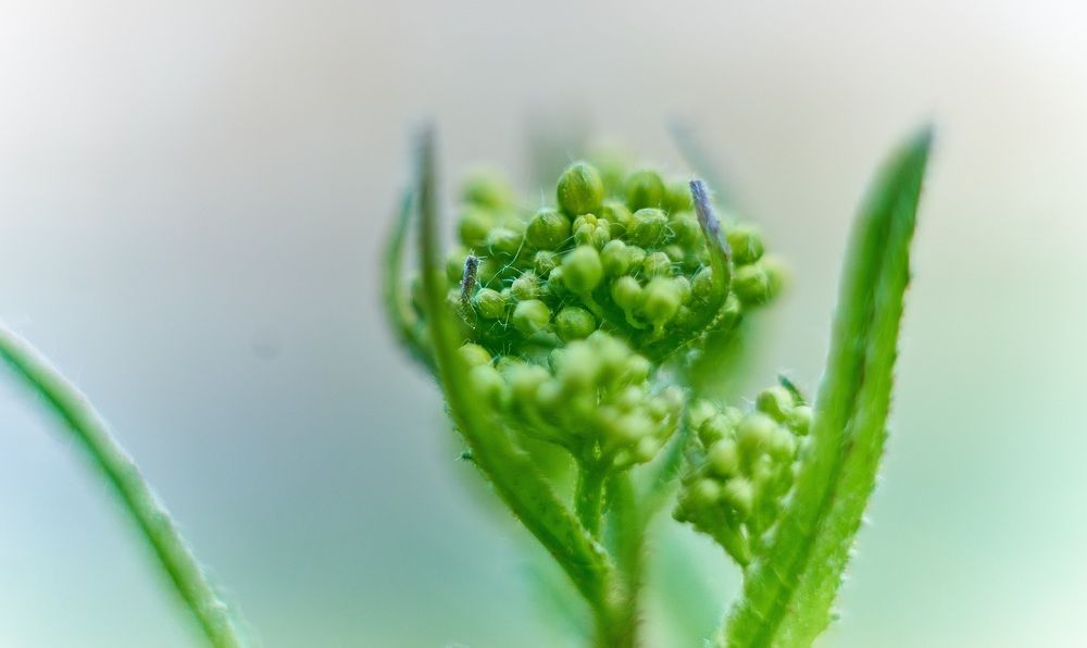 Photograph by Михаил