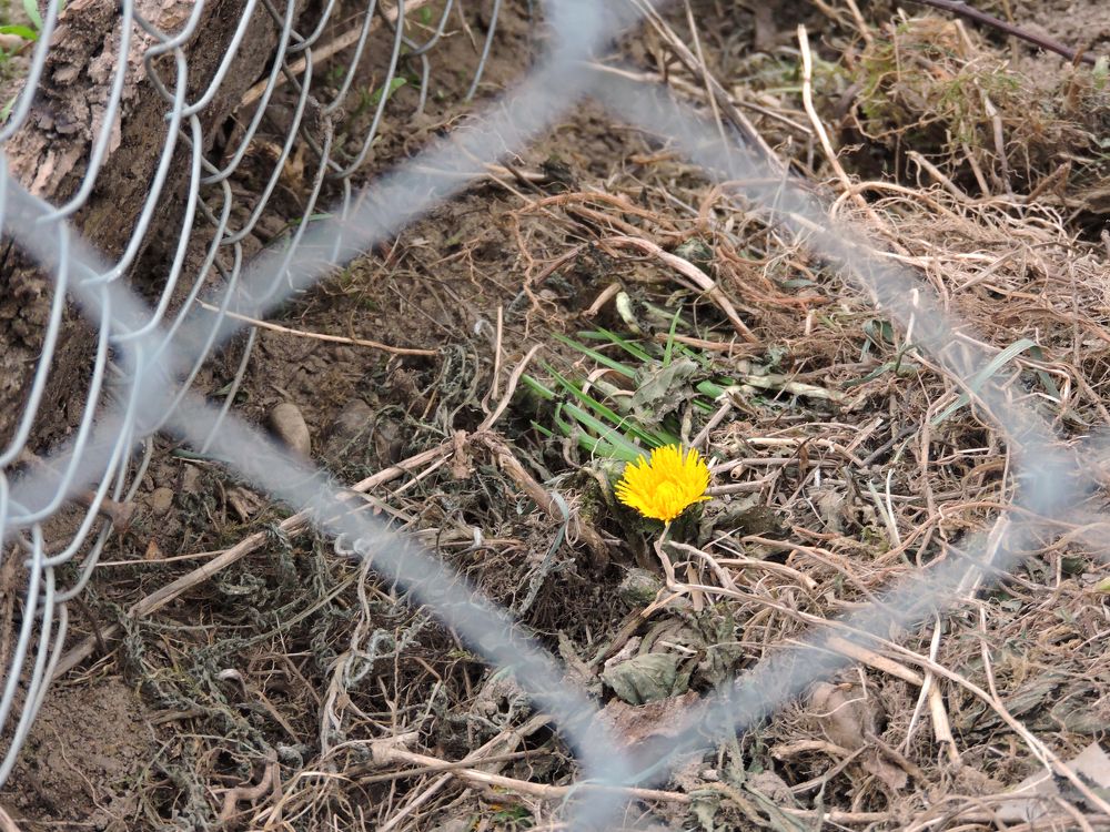 За решёткой / Behind the bars