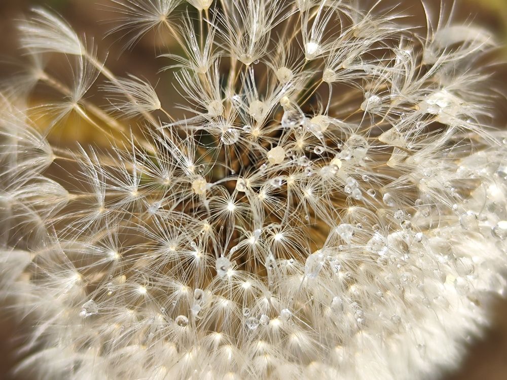 Photograph by Громова Мария