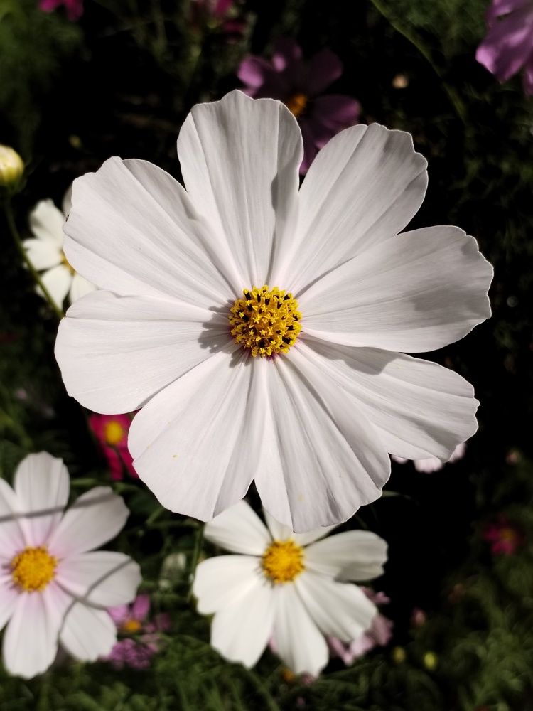 Photograph by Юлия Ю.