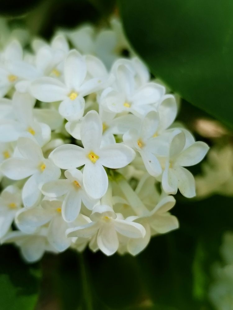 Photograph by Юлия Ю.