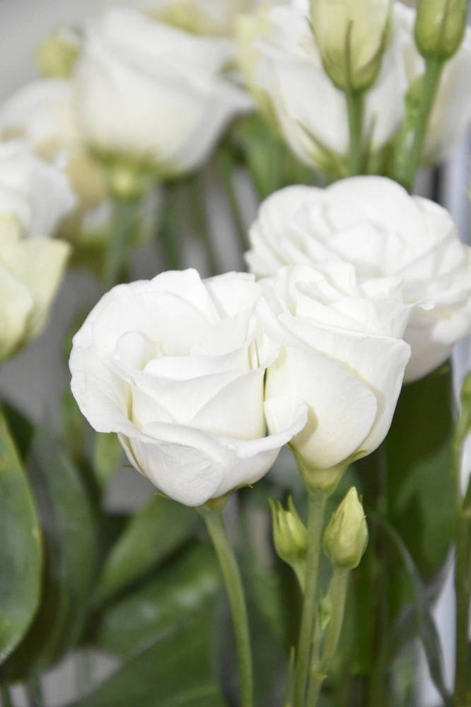 Photograph by Юлия Ю.