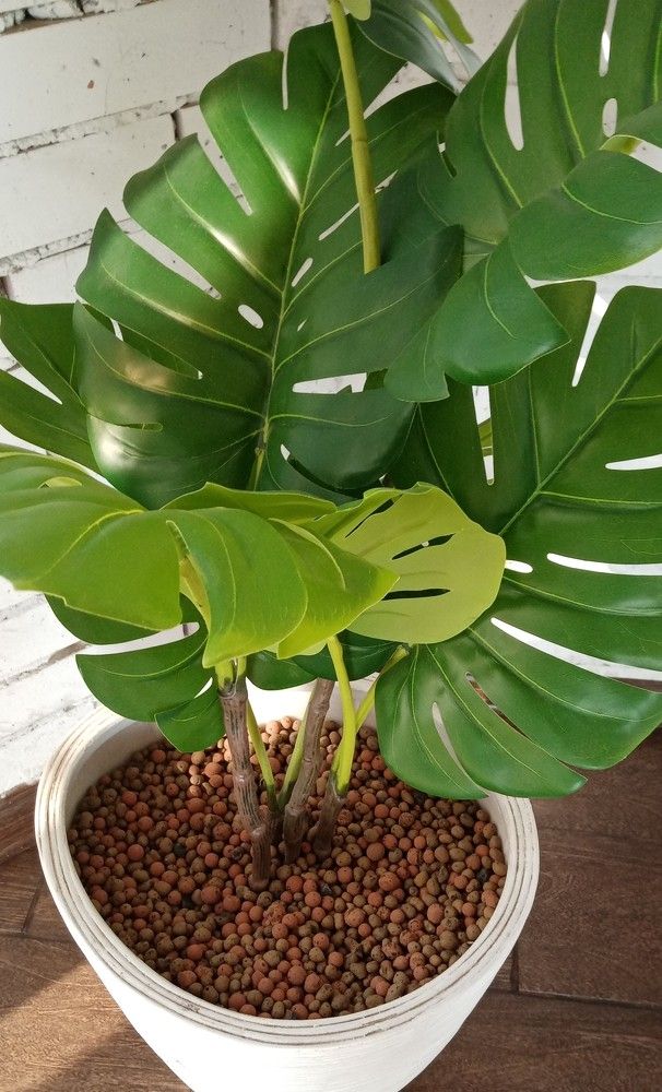 Photograph by Виктор Захаров