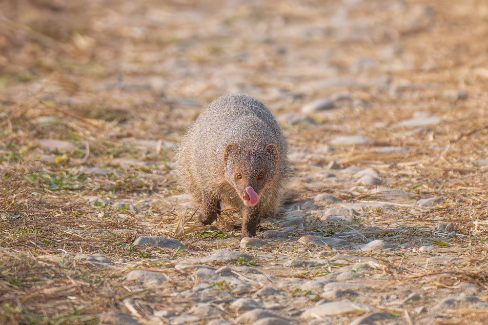 You look dellicious ?