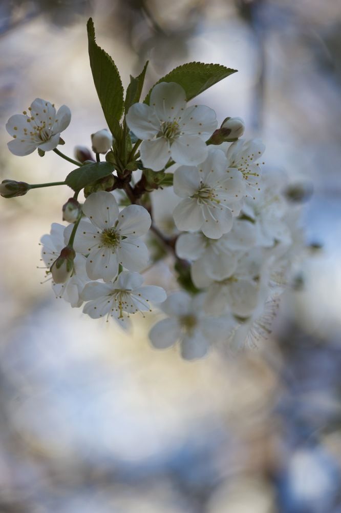 Photograph by Лариса Белашова