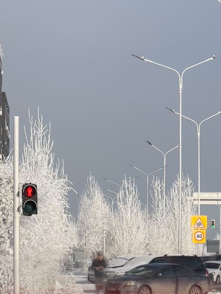 Photograph by ZHANAR JUMABEKOVA