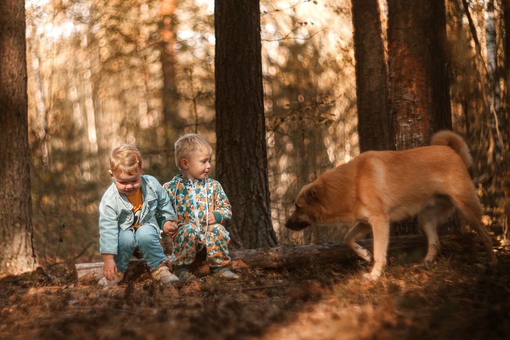 Photograph by Aleksandr Solovev