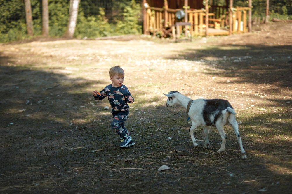 Photograph by Aleksandr Solovev