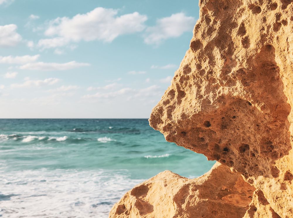 Photograph by Ahmed Ehab Akl