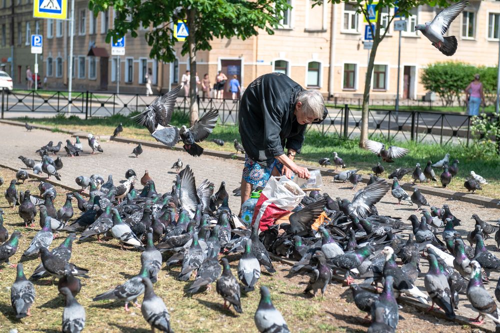 Photograph by Микаэль Ахмедов